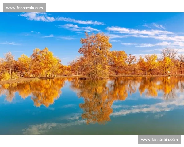 秋日阿勒泰，那束橙色的暖光